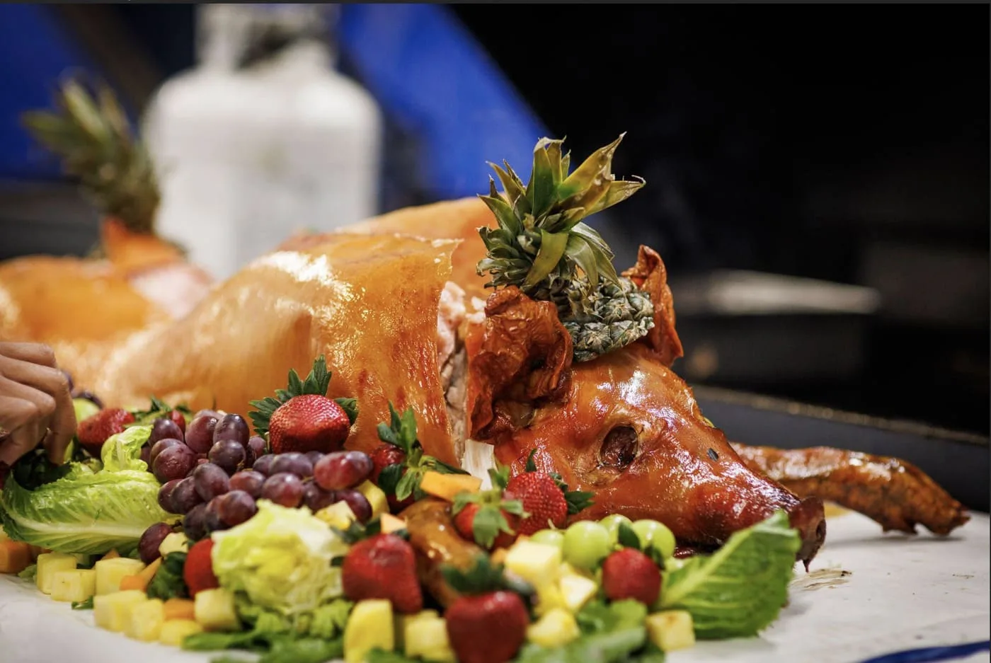Smoked Pig surrounded by Fruit for Lunch